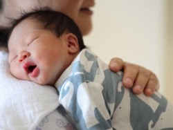 胚胎培养箱